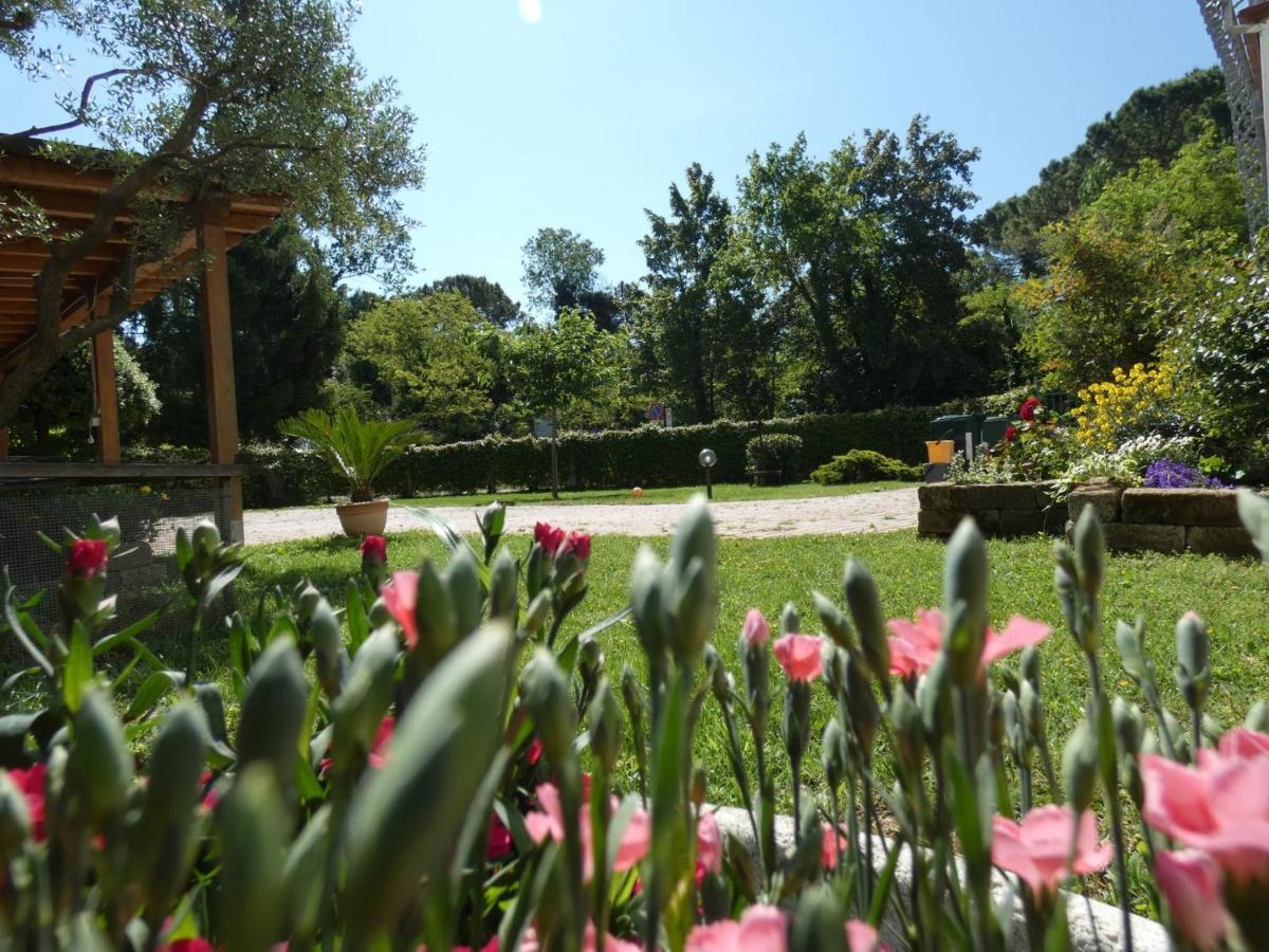 Antonella'S Home Cavallino-Treporti Exterior foto